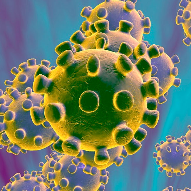Coronavírus: como prevenir?