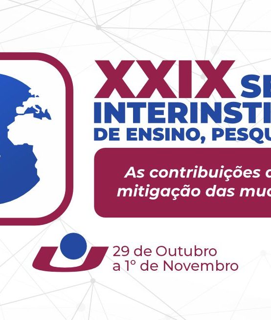 XXIX SEMINÁRIO INTERINSTITUCIONAL DE ENSINO, PESQUISA E EXTENSÃO