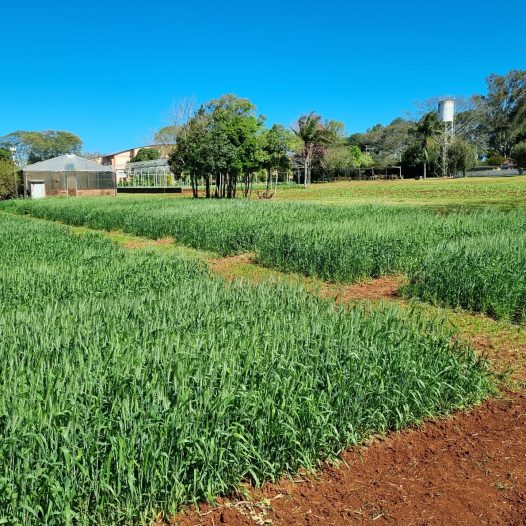 V GIRO TÉCNICO DA AGRONOMIA