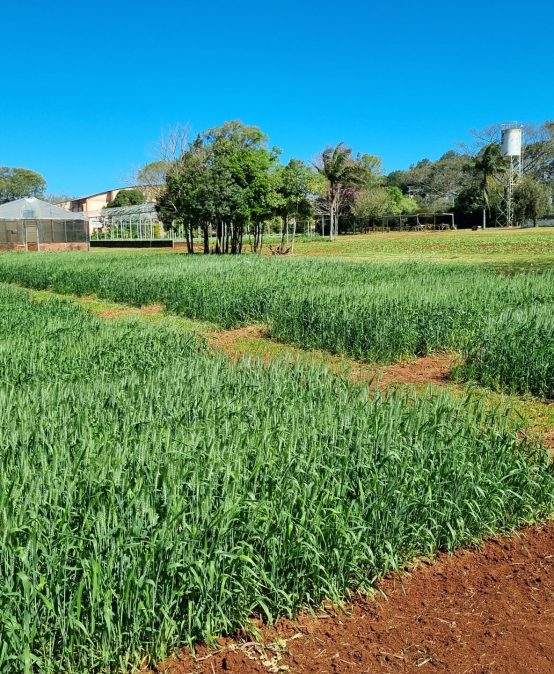 V GIRO TÉCNICO DA AGRONOMIA