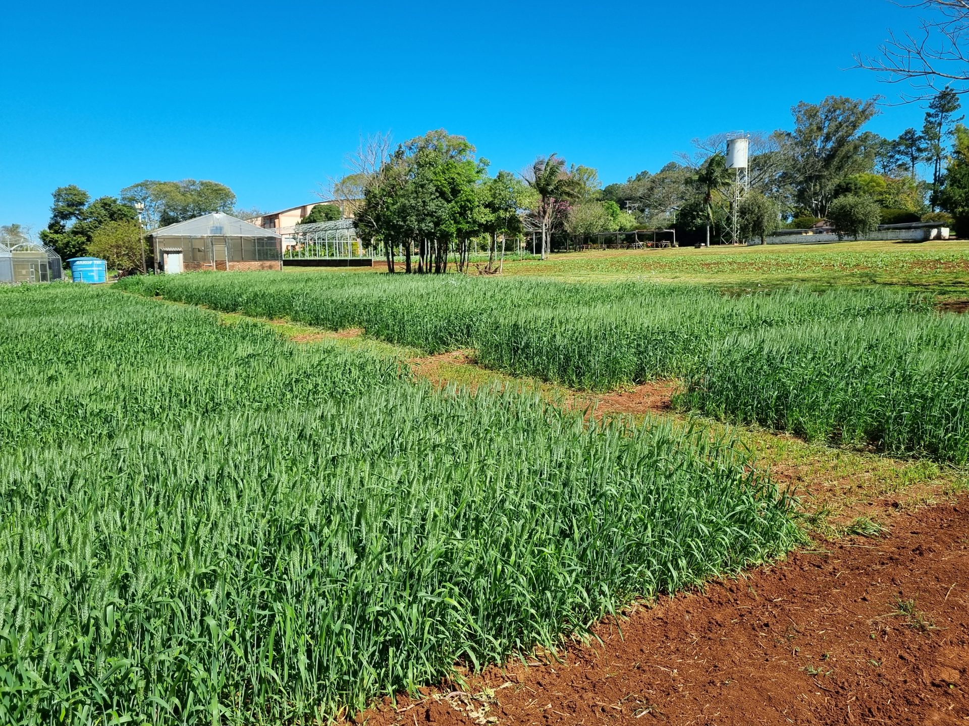 V GIRO TÉCNICO DA AGRONOMIA