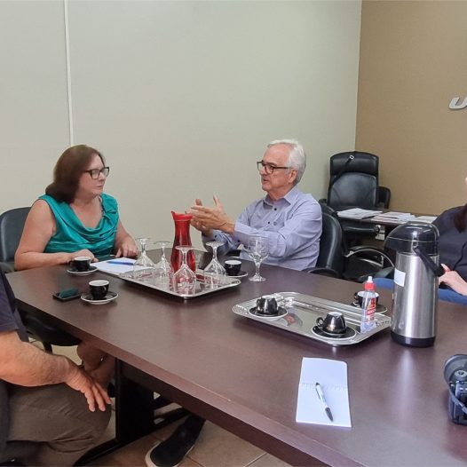 RELAÇÕES INSTITUCIONAIS COM AGENTES POLÍTICOS