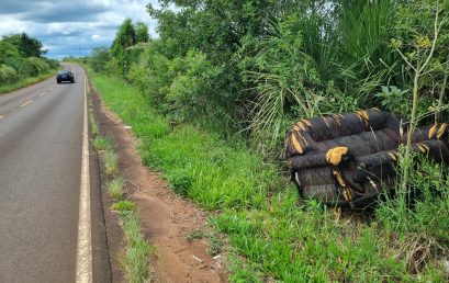 DESCARTE DE LIXO NA RODOVIA DO CAMPUS