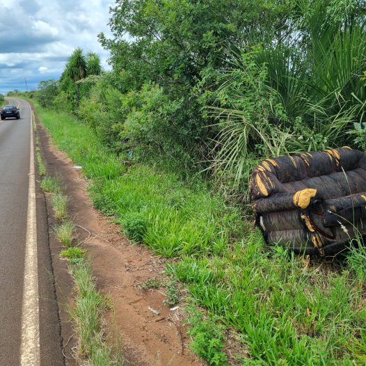 DESCARTE DE LIXO NA RODOVIA DO CAMPUS