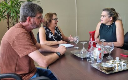 RELAÇÕES INSTITUCIONAIS: ASSESSORA DA DEPUTADA MARIA DO ROSÁRIO