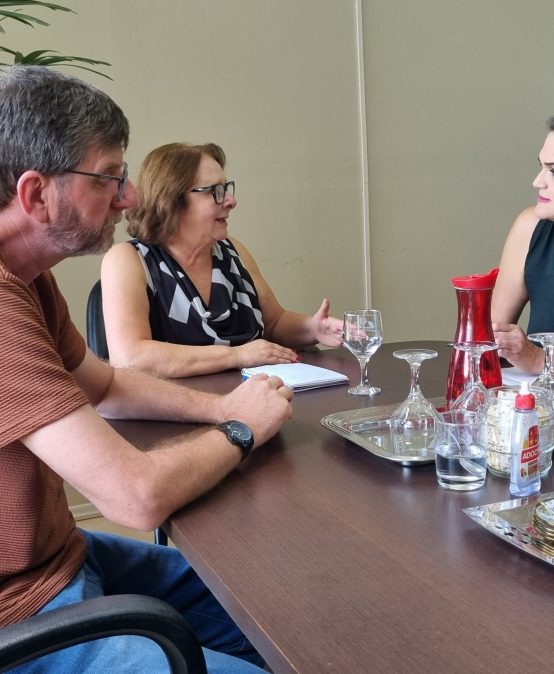 RELAÇÕES INSTITUCIONAIS: ASSESSORA DA DEPUTADA MARIA DO ROSÁRIO