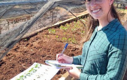 GIRO TÉCNICO: ELABORANDO O TCC