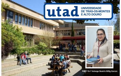 INSERÇÃO ACADÊMICA BRASIL_PORTUGAL