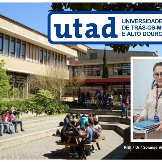 INSERÇÃO ACADÊMICA BRASIL_PORTUGAL