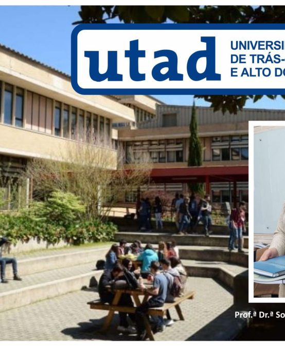 INSERÇÃO ACADÊMICA BRASIL_PORTUGAL