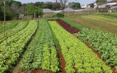 AGRICULTURA FAMILIAR