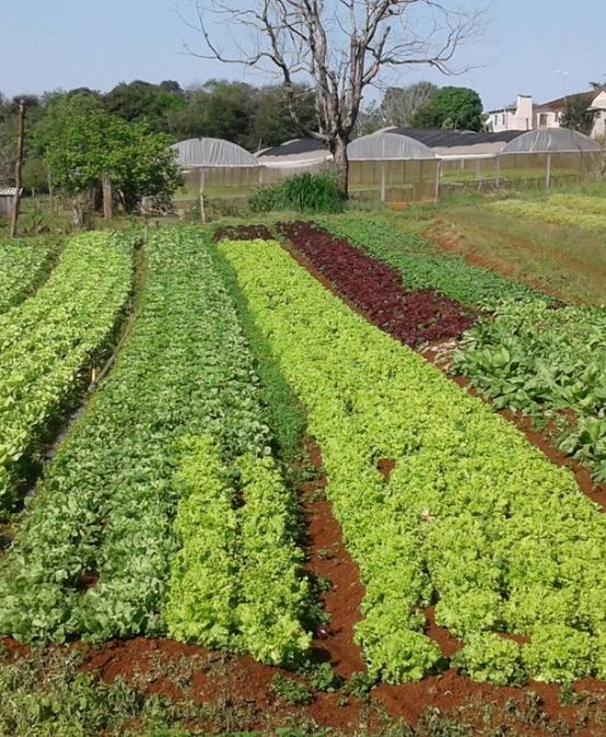 AGRICULTURA FAMILIAR