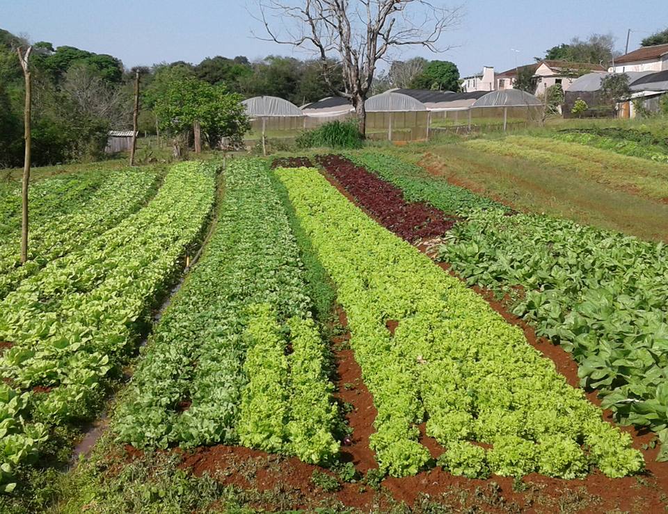 AGRICULTURA FAMILIAR
