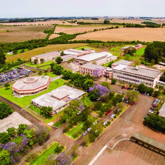 FEIRA DAS PROFISSÕES TEM PRESENÇA CONFIRMADA DE 1.200 ESTUDANTES