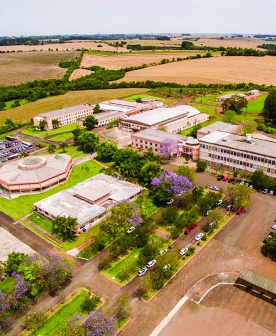 FEIRA DAS PROFISSÕES TEM PRESENÇA CONFIRMADA DE 1.200 ESTUDANTES