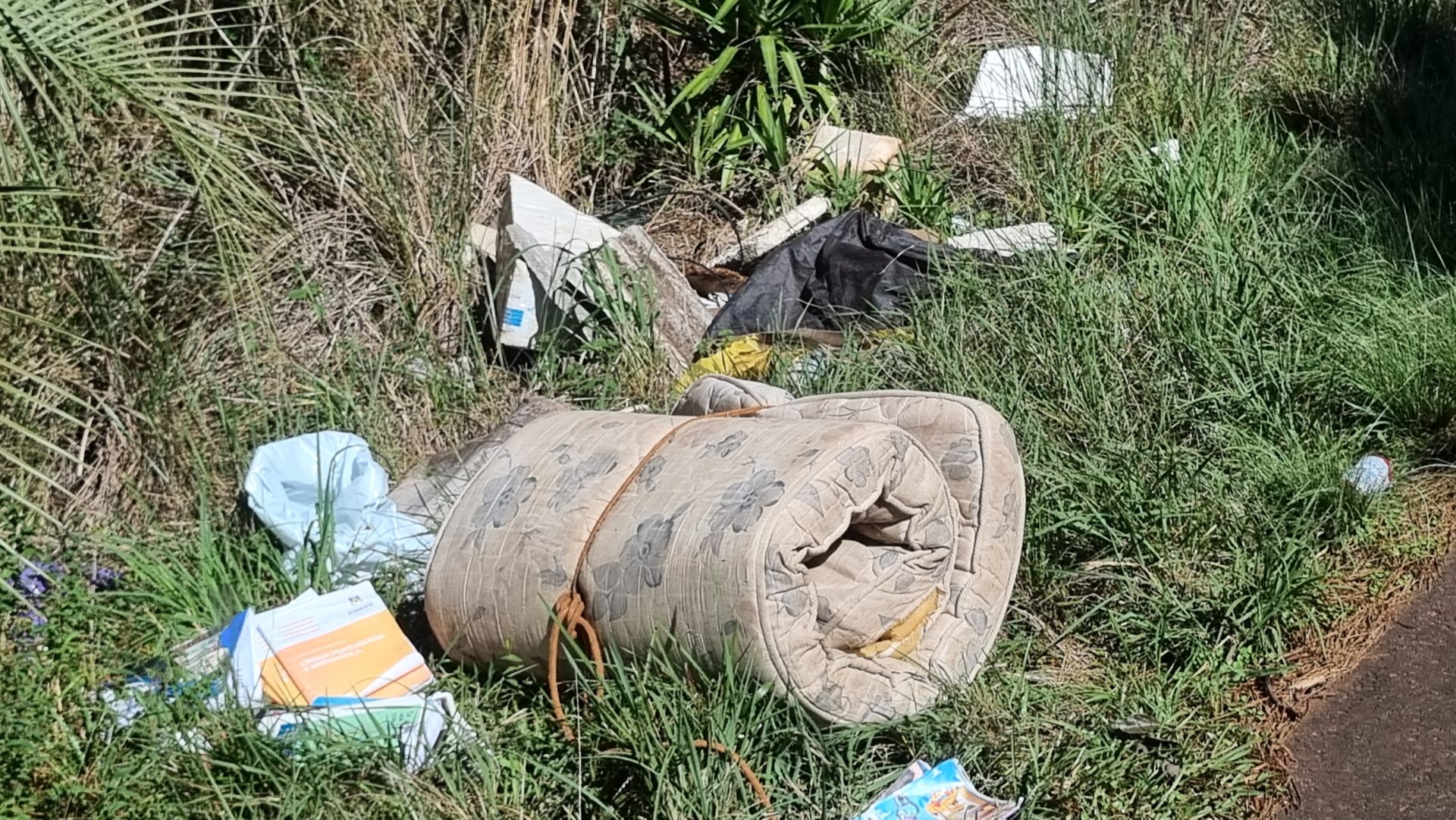 LIXO URBANO E ENTULHOS VOLTAM A SER DESCARTADOS NA ESTRADA DO CAMPUS LIXO URBANO E ENTULHOS VOLTAM A SER DESCARTADOS NA ESTRADA DO CAMPUS